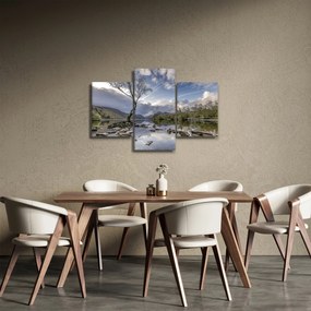 Obraz rieky za stromom (90x60 cm)