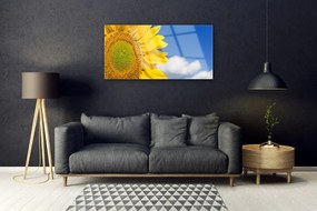 Obraz na skle Slnečnica mraky 100x50 cm