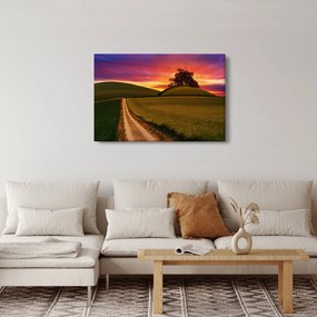Obraz poľa a farebného neba (90x60 cm)
