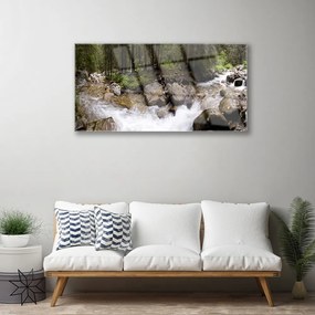 Skleneny obraz Les rieka vodopády 100x50 cm