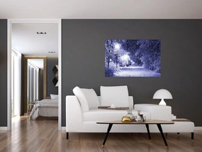 Obraz - Čarovná zimná noc (90x60 cm)