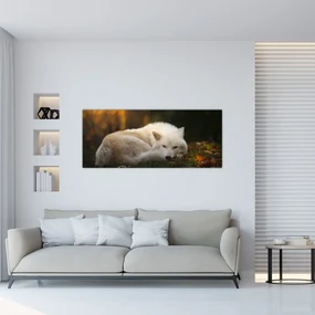 Obraz - Odpočívajúci vlk (120x50 cm)