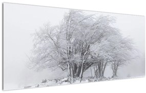 Obraz - Biela zima (120x50 cm)