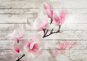 Manufakturer -  Tapeta magnolia on wood