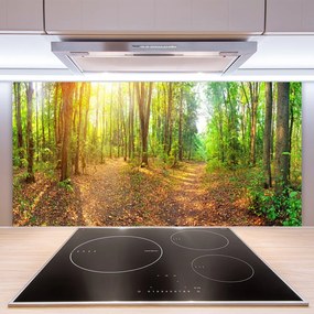 Sklenený obklad Do kuchyne Slnko príroda lesné chodník 140x70 cm