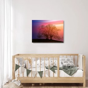 Sklenený obraz stromov v hmle (70x50 cm)