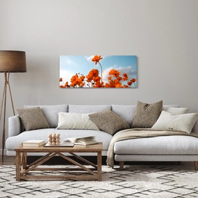 Obraz - Lúčne kvety (120x50 cm)