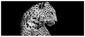 Obraz - Leopard (120x50 cm)
