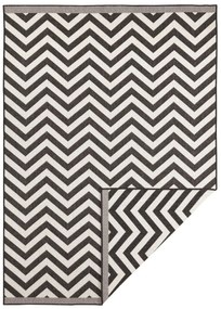 NORTHRUGS - Hanse Home koberce Kusový koberec Twin Supreme 103433 Palma black creme – na von aj na doma - 80x150 cm
