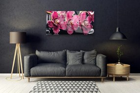 Skleneny obraz Kvety orchidey výhonky príroda 125x50 cm