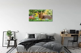 Sklenený obraz Králik vajcia lúka 125x50 cm