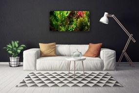 Obraz Canvas Rastlina kvety príroda 125x50 cm