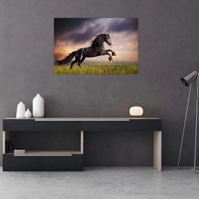 Obraz - Kone (90x60 cm)