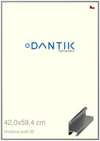 DANTIK rám na obraz 42x59,4 | ALU Ocelová (Plexi Čiré)