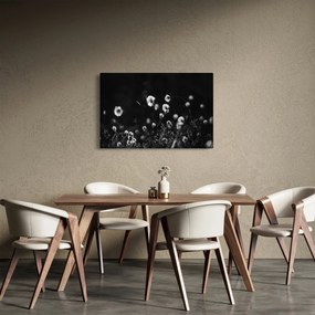 Obraz - Lúka s cottongrass N⁰1 (90x60 cm)