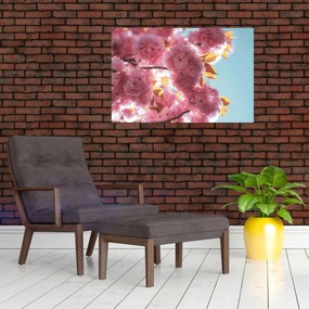 Obraz - Čerešňový kvet (90x60 cm)