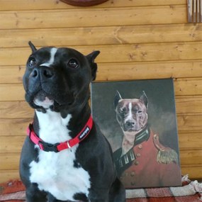 Obraz z fotky na plátne Generál_4 – 75x90 cm | rôzne uniformy