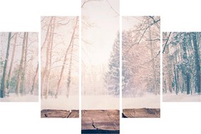 Obraz - Výhľad do lesa (150x105 cm)