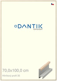 DANTIK rám na obraz 70x100 | ALU Dýha dub raw (Plexi Čiré)