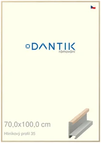 DANTIK rám na obraz 70x100 | ALU Dýha dub raw (Plexi Čiré)