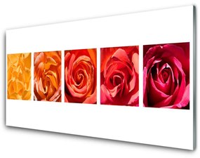 Obraz plexi Ruže kvety rastlina 125x50 cm