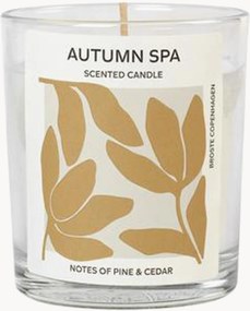 Vonná sviečka Autumn Spa (Pine & Cedar)