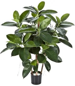 Ficus Elastica Rubber Plant 90 cm