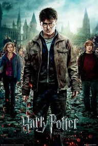 Plagát, Obraz - Harry Potter a Dary smrti, (61 x 91.5 cm)
