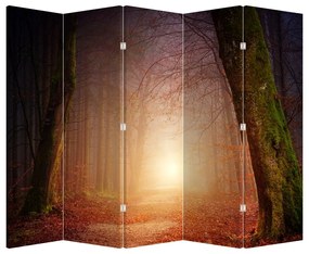 Paraván - Jesenný les v hmle (210x170 cm)