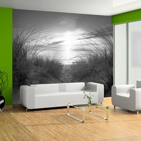 Artgeist Fototapeta - beach (black and white) Veľkosť: 300x210, Verzia: Premium