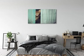 Obraz na akrylátovom skle Zaglądający cat 125x50 cm
