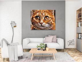 Gario Maľovanie podľa čísel Mačacie oči 2 Rozmery: 100 x 80 cm, Rámovanie: S vnútorným rámom