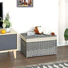 Skladovacia truhlica SONGMICS RST56WG