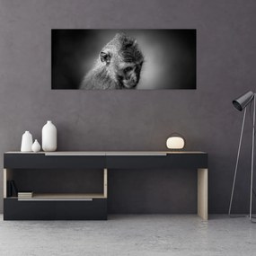Obraz - Opička (120x50 cm)