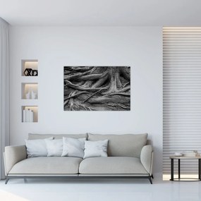 Obraz - Korene stromu (90x60 cm)