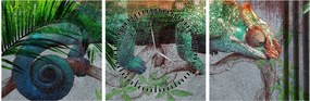 Obraz - Chameleon (s hodinami) (90x30 cm)