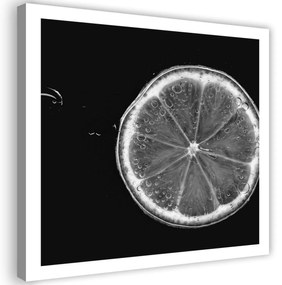 Obraz na plátně Černá Bílá Lemon - 50x50 cm