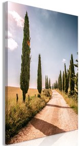 Artgeist Obraz - Italian cypresses (1 Part) Vertical Veľkosť: 60x90, Verzia: Standard