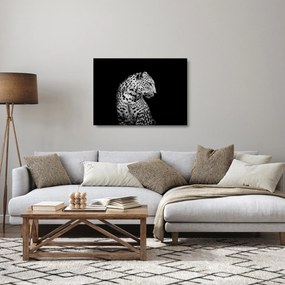 Sklenený obraz - Leopard (70x50 cm)