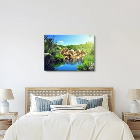 Obraz jazera v Seychelskej džungli (70x50 cm)