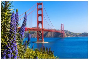 Obraz - Golden Gate Bridge, San Francisco (90x60 cm)