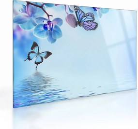 Sklenený obraz - Motýľ na kvetoch orchidey, modrý (70x50 cm)