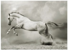 Artgeist Fototapeta - Wild Stallion Veľkosť: 392x309, Verzia: Samolepiaca