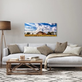 Obraz slnečnicového poľa (120x50 cm)