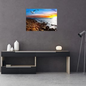 Sklenený obraz - Čajka letiaca nad pobrežím (70x50 cm)