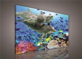 Obraz na stenu delfíny 100 x 75 cm