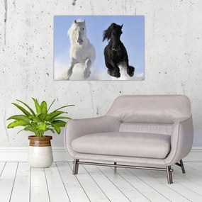 Obraz - Kone v zime (70x50 cm)