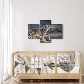 Obraz - Vyjúci vlk (90x60 cm)