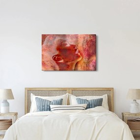Obraz - Profil ženskej tváre (90x60 cm)