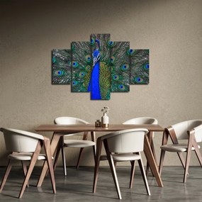 Obraz - Páv (150x105 cm)